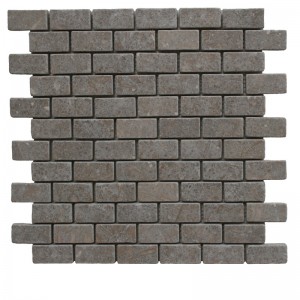 1x2 Seagrass Tumbled Limestone Mosaic